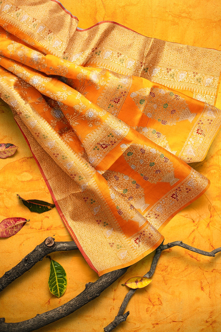 Orange Sona-Rupa Meenakari Banarasi Saree